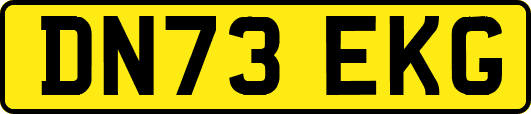 DN73EKG