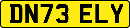 DN73ELY