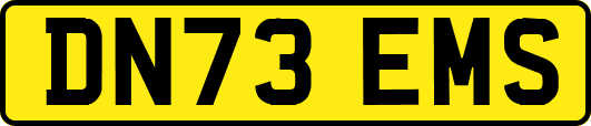 DN73EMS