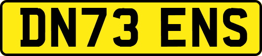 DN73ENS