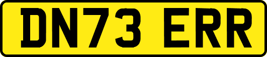 DN73ERR