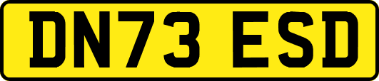 DN73ESD