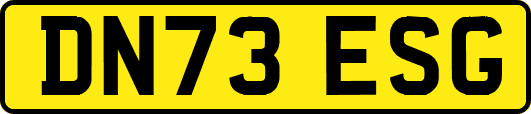 DN73ESG
