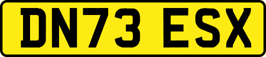 DN73ESX