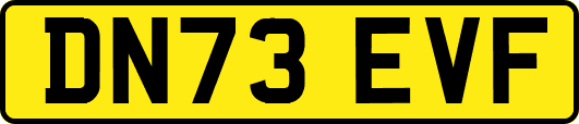 DN73EVF