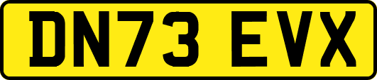 DN73EVX