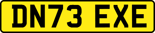 DN73EXE