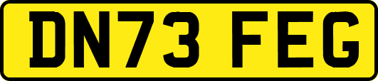DN73FEG