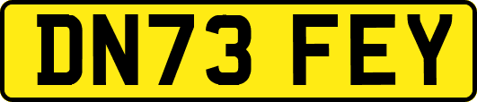 DN73FEY