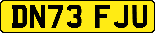 DN73FJU
