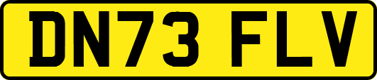 DN73FLV