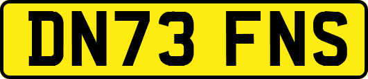 DN73FNS