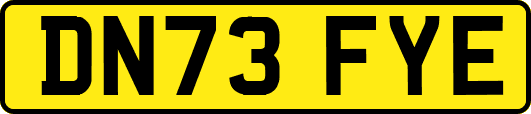 DN73FYE