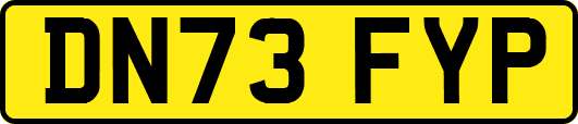 DN73FYP
