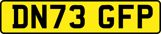 DN73GFP