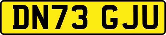 DN73GJU