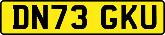 DN73GKU