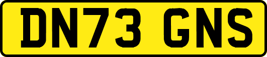 DN73GNS