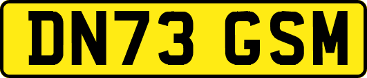 DN73GSM
