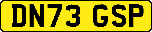 DN73GSP