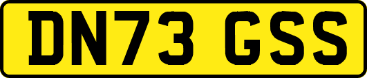 DN73GSS