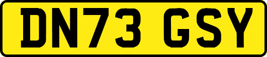 DN73GSY