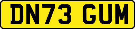 DN73GUM