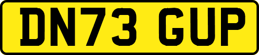 DN73GUP