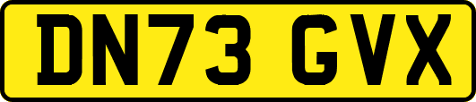 DN73GVX
