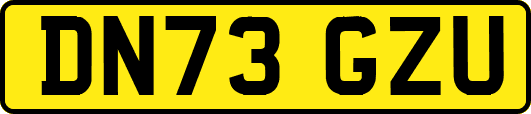 DN73GZU