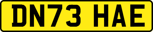 DN73HAE