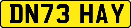 DN73HAY