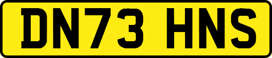 DN73HNS