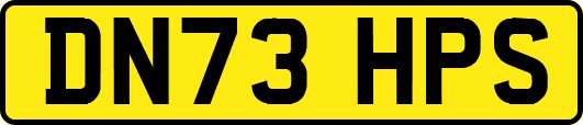 DN73HPS
