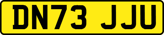 DN73JJU