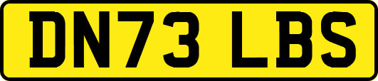 DN73LBS