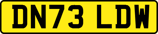 DN73LDW
