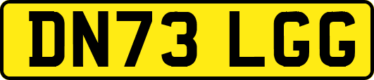 DN73LGG