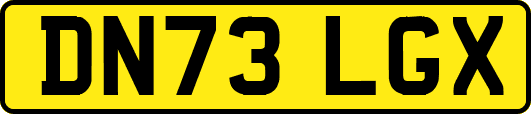 DN73LGX