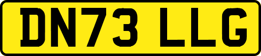 DN73LLG