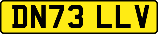 DN73LLV