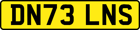 DN73LNS
