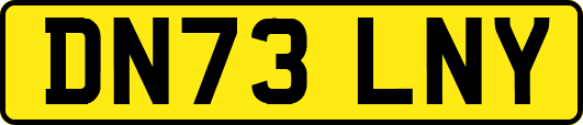 DN73LNY
