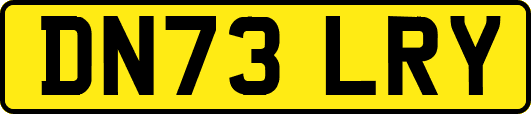 DN73LRY