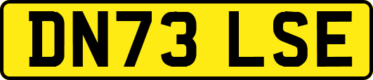 DN73LSE