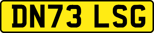 DN73LSG