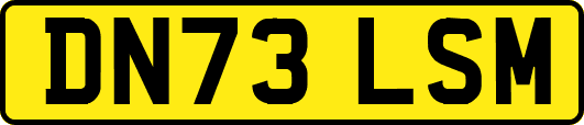 DN73LSM