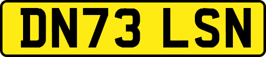 DN73LSN