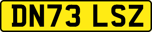 DN73LSZ