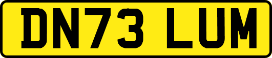 DN73LUM